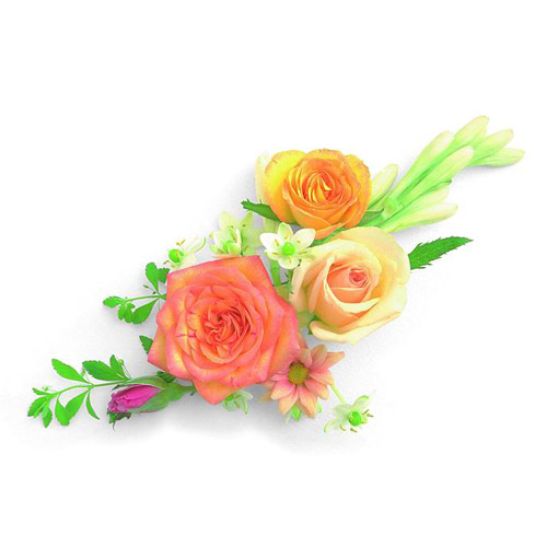 http://www.potolok-spb.ru/art/images/flower/flower9.jpg